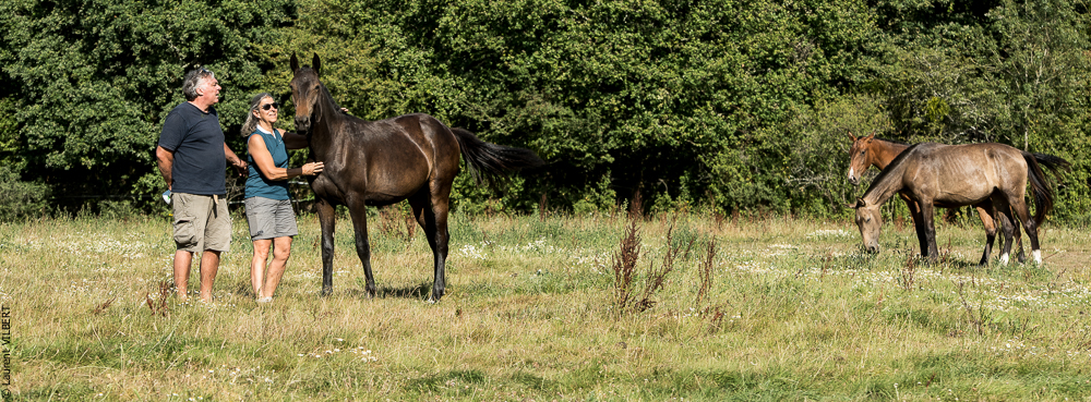 Elevage du Parc 20200721-0762