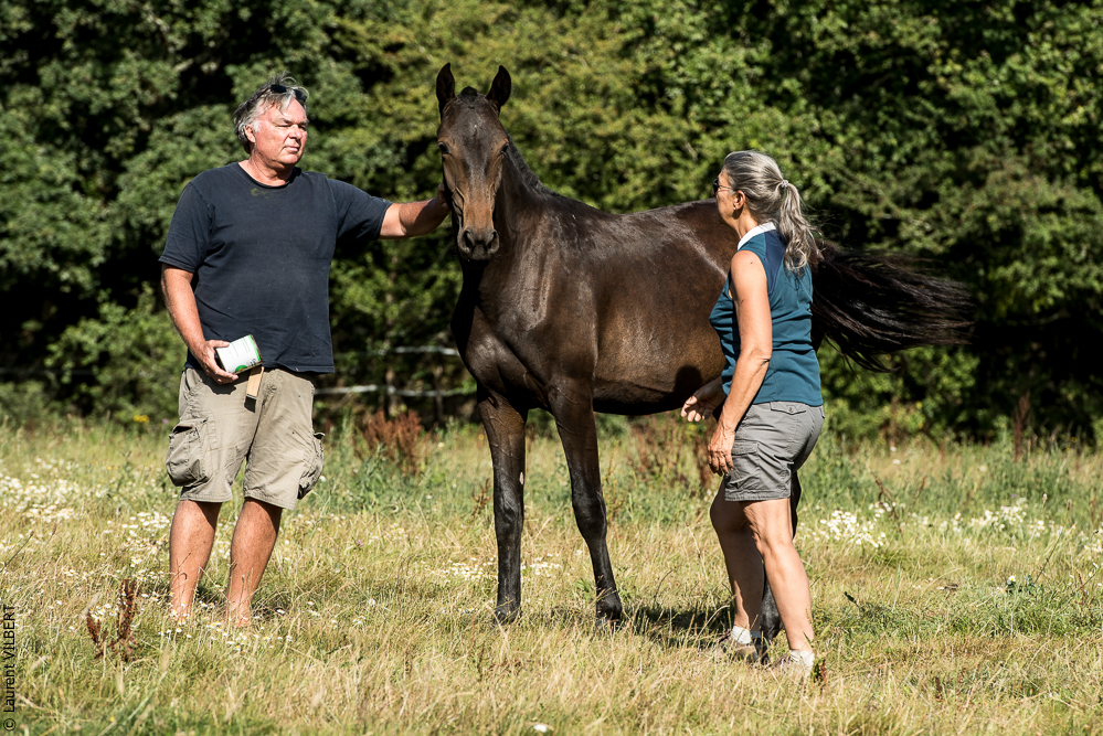 Elevage du Parc 20200721-0775