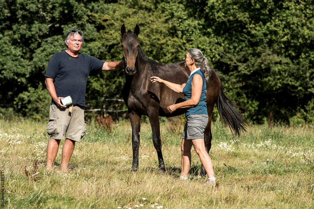 Elevage du Parc 20200721-0777