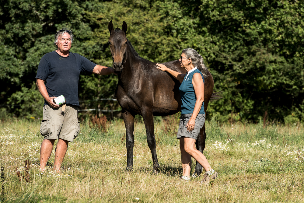 Elevage du Parc 20200721-0782