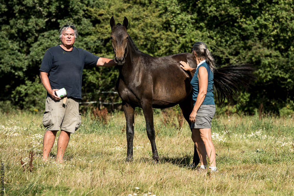 Elevage du Parc 20200721-0784