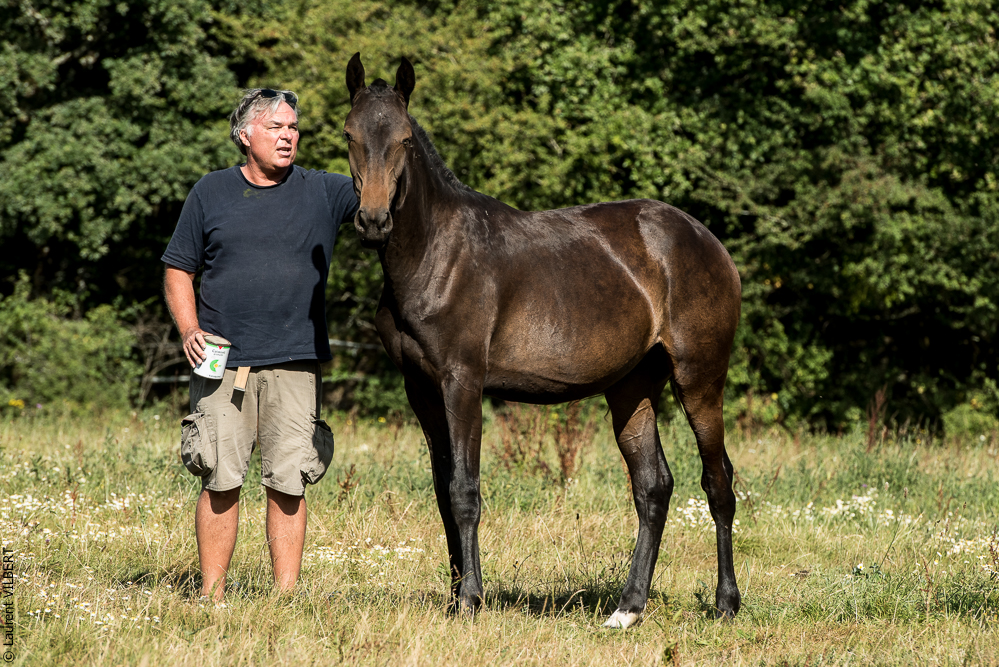 Elevage du Parc 20200721-0801