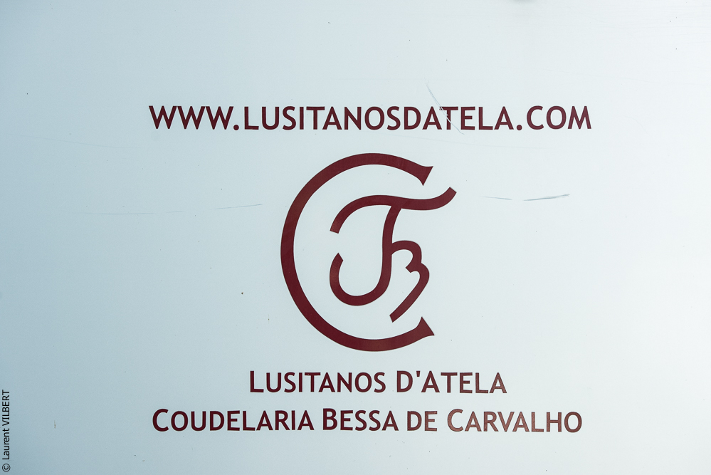 Francisco 20181116-003