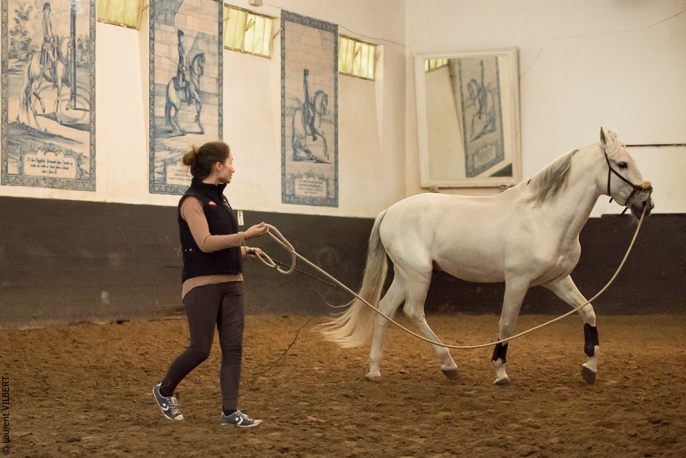 Francisco 20181116-010