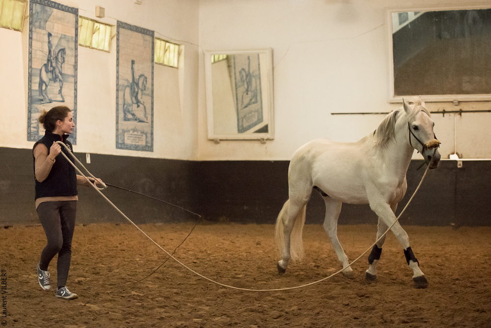 Francisco 20181116-016