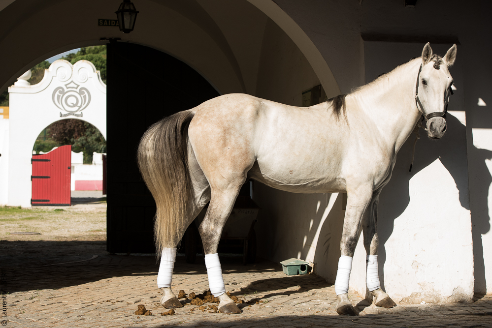 Francisco 20181116-034