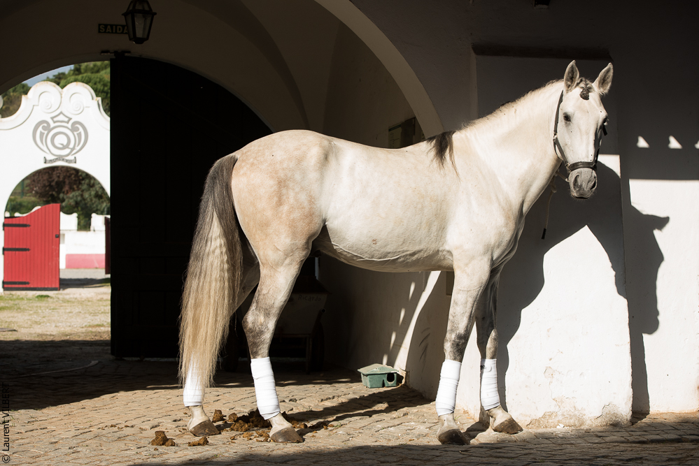 Francisco 20181116-035