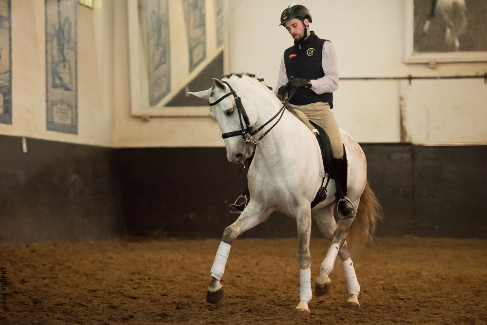 Francisco 20181116-039