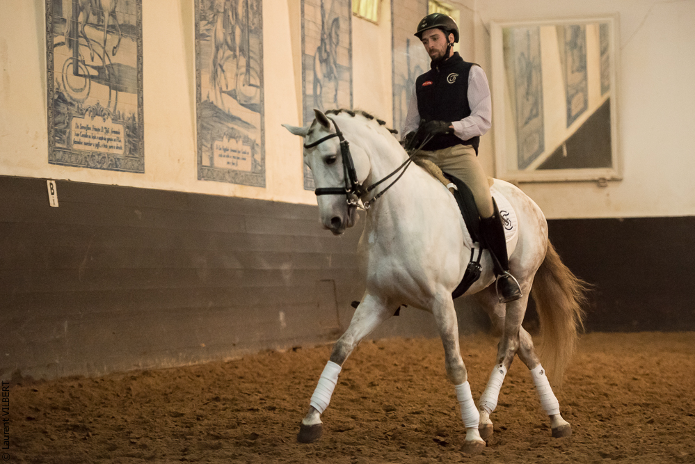 Francisco 20181116-040