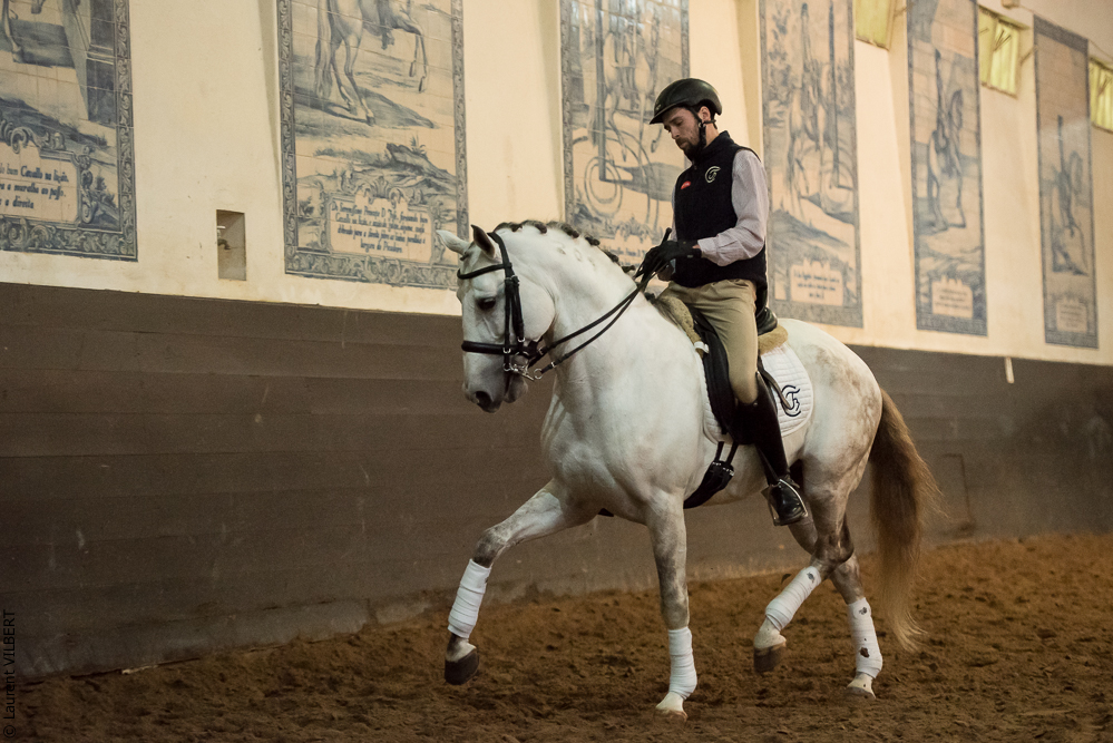 Francisco 20181116-041