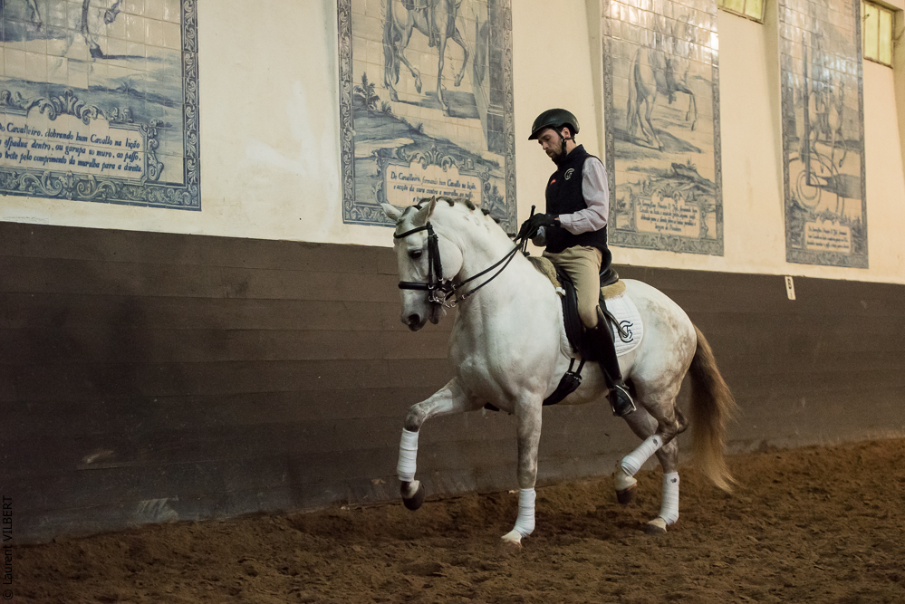 Francisco 20181116-042