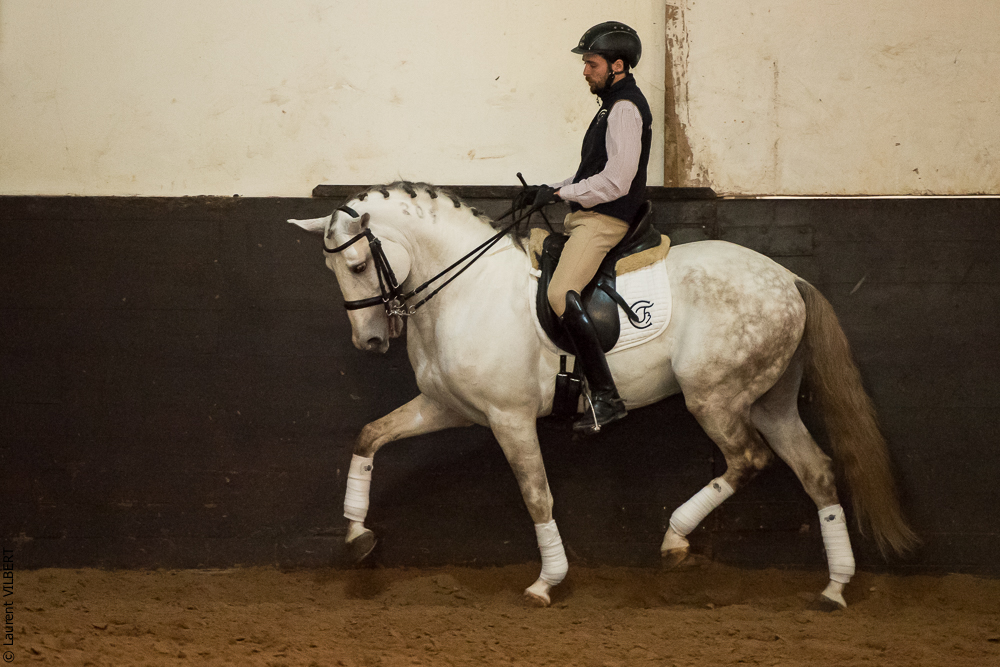 Francisco 20181116-043