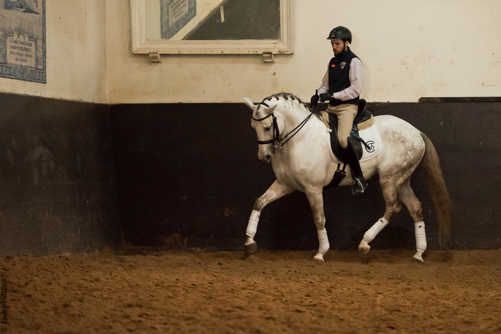 Francisco 20181116-044