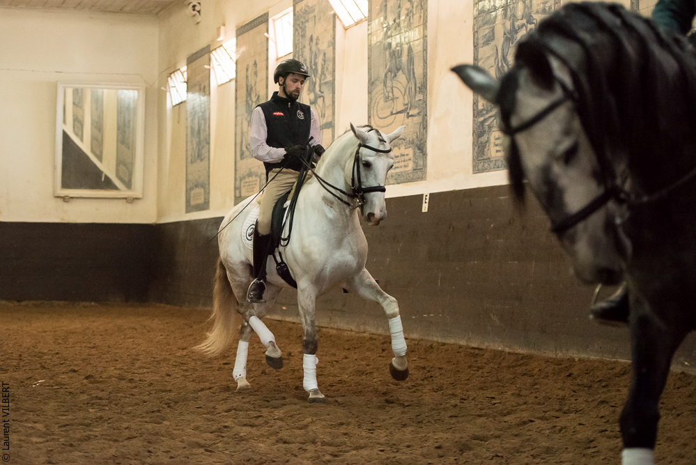 Francisco 20181116-048