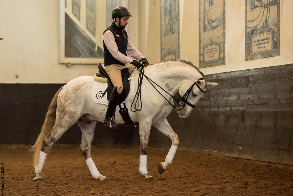 Francisco 20181116-050