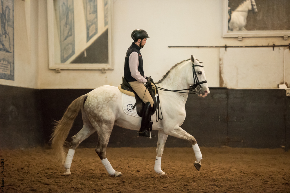 Francisco 20181116-056