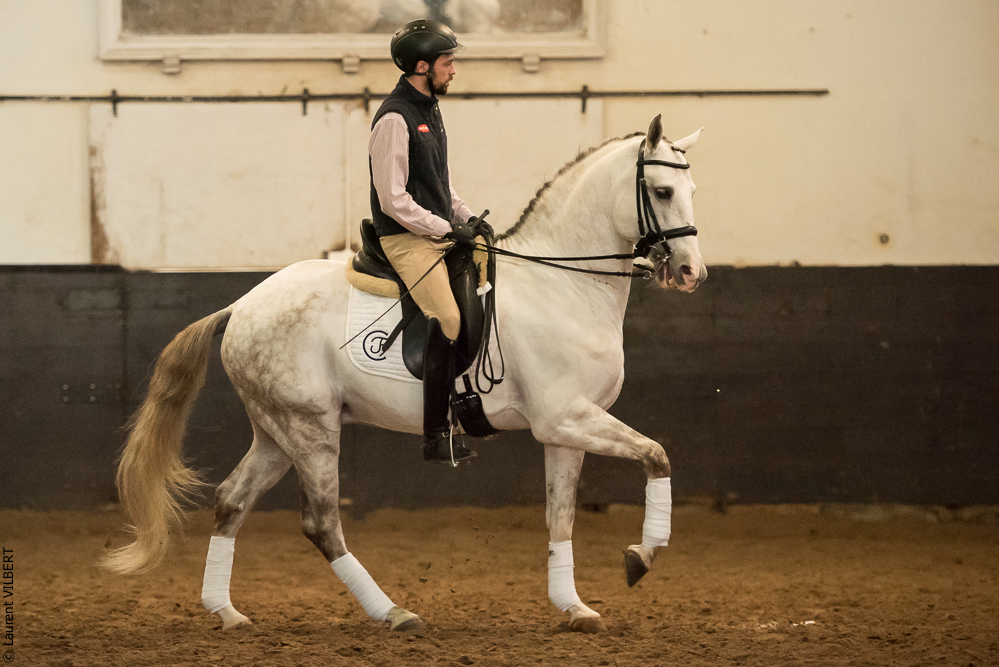 Francisco 20181116-058