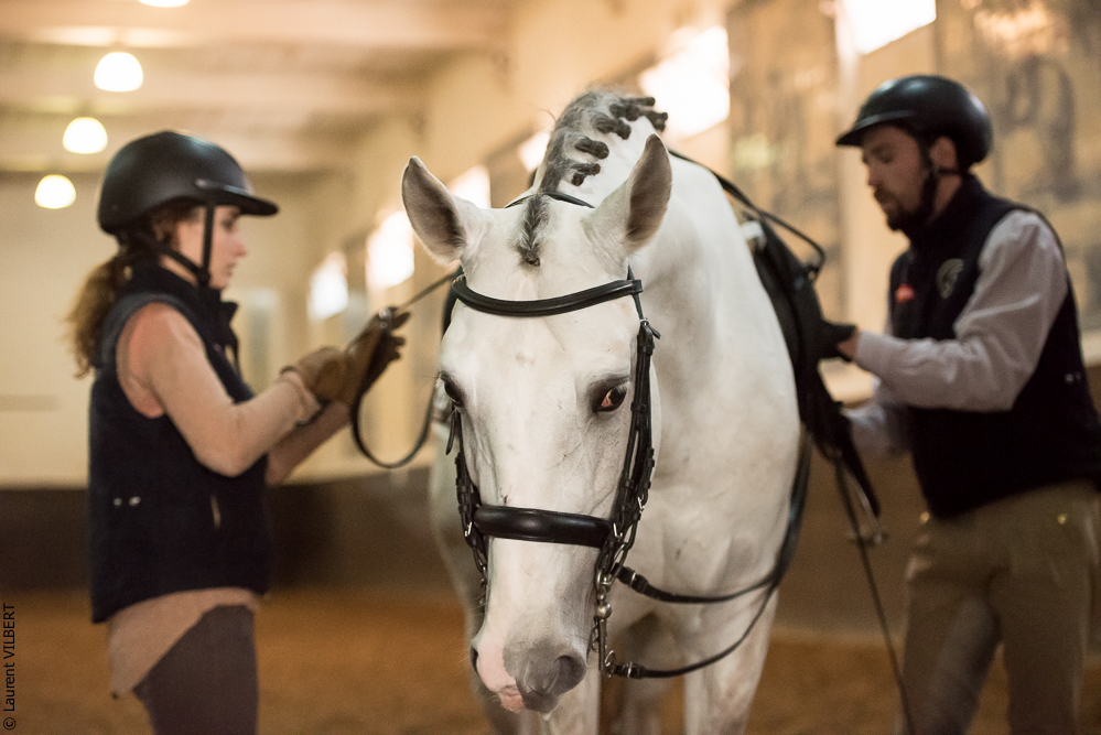 Francisco 20181116-061