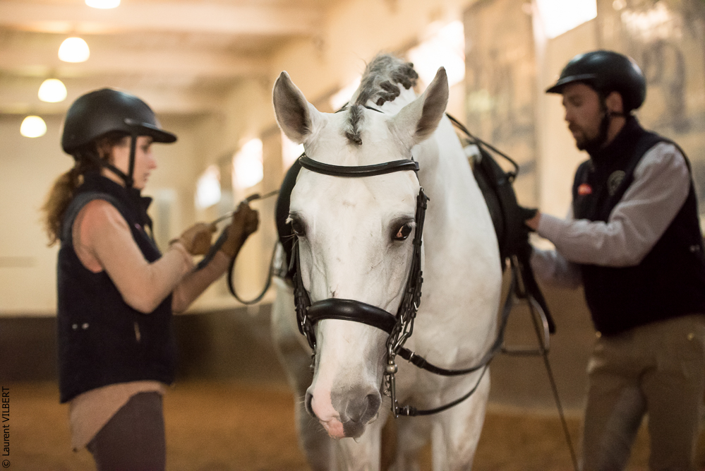 Francisco 20181116-062