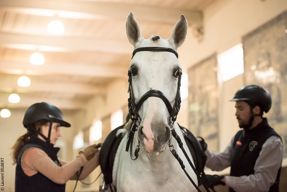 Francisco 20181116-063