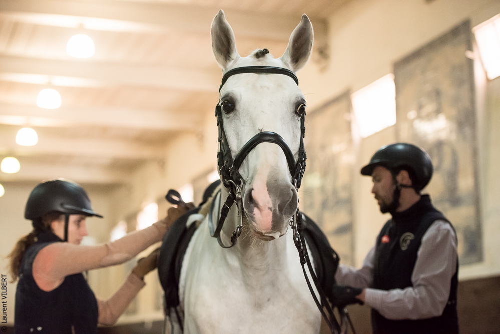 Francisco 20181116-064