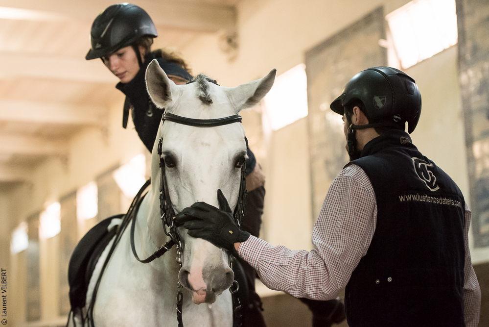 Francisco 20181116-066