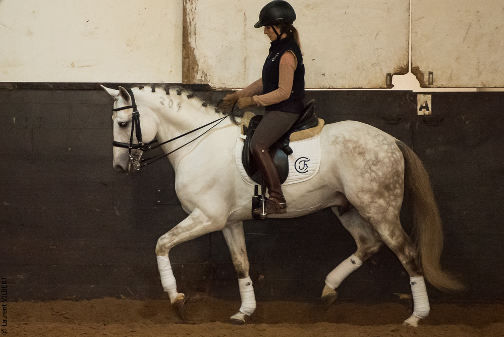 Francisco 20181116-071