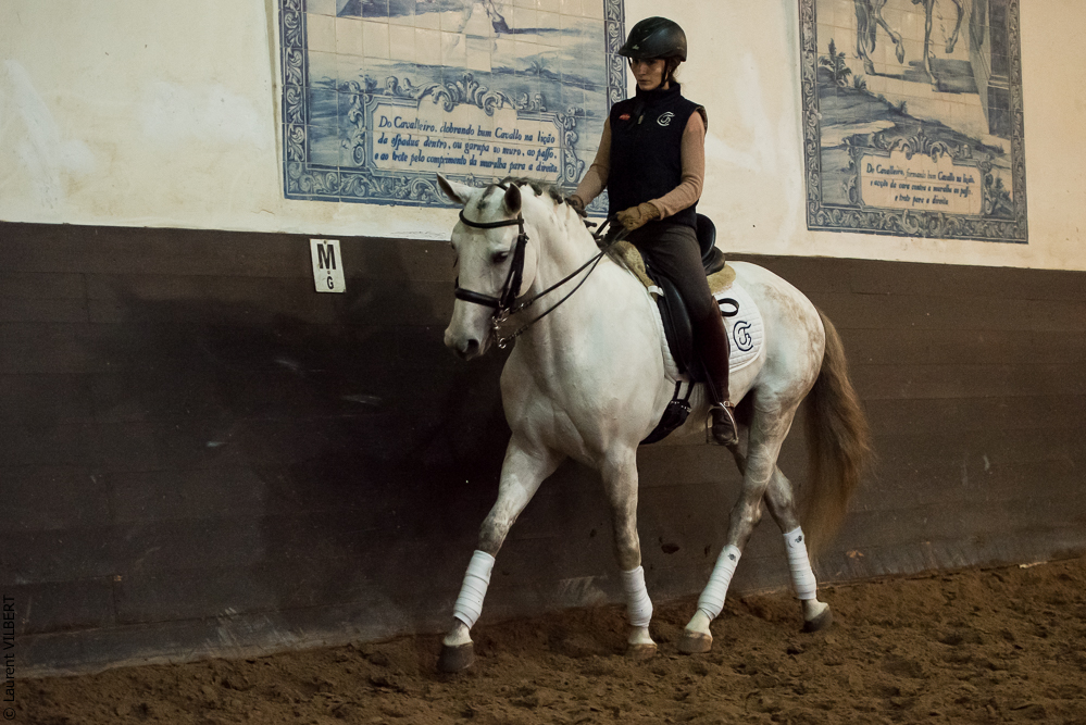 Francisco 20181116-074