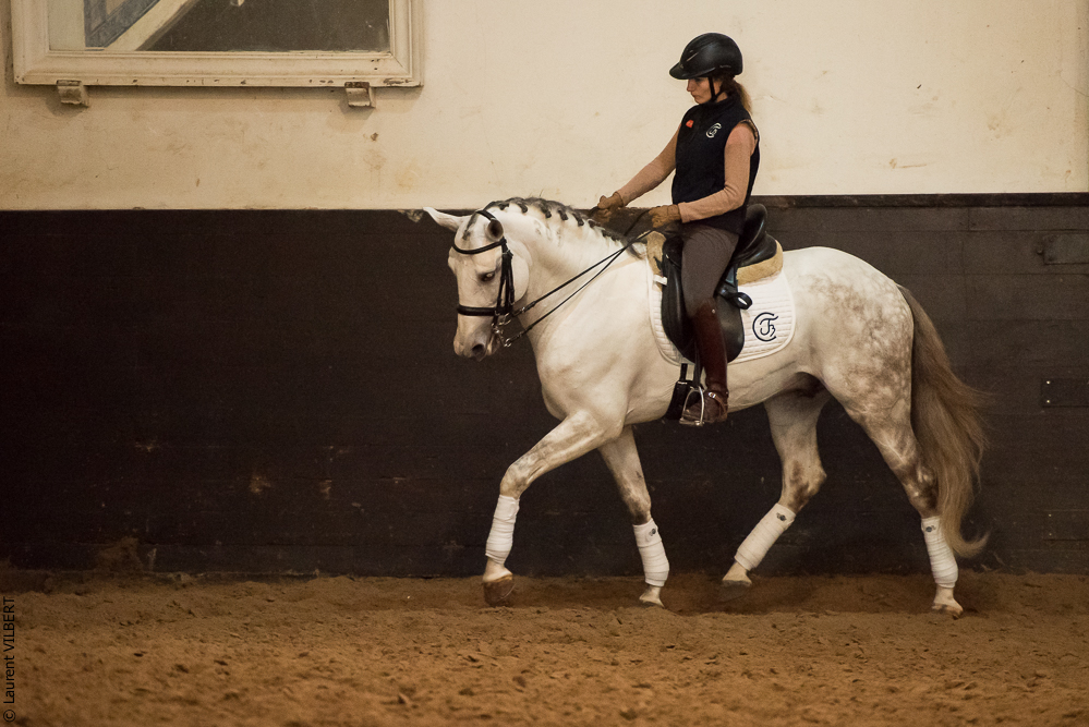 Francisco 20181116-076