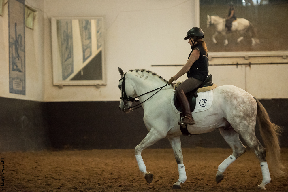 Francisco 20181116-078