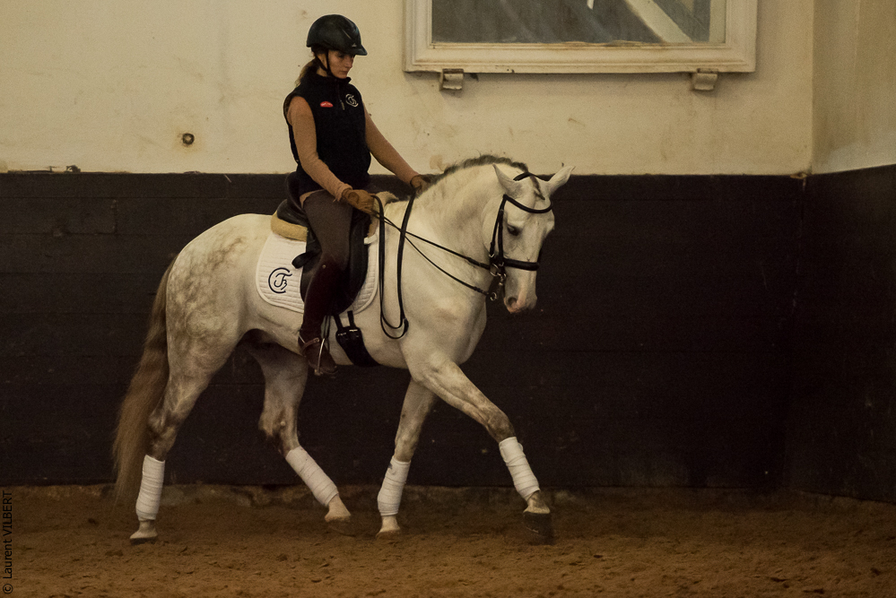 Francisco 20181116-081