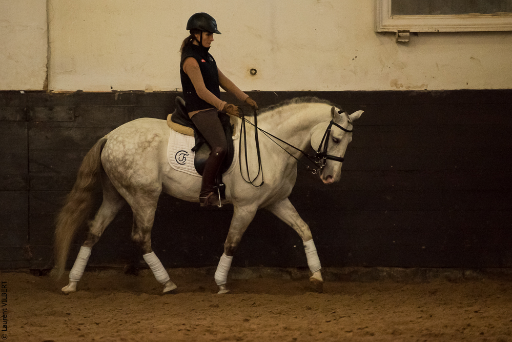 Francisco 20181116-086