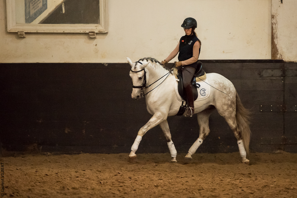 Francisco 20181116-087