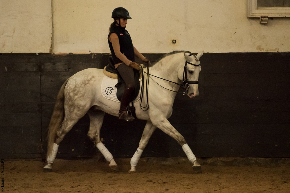 Francisco 20181116-091