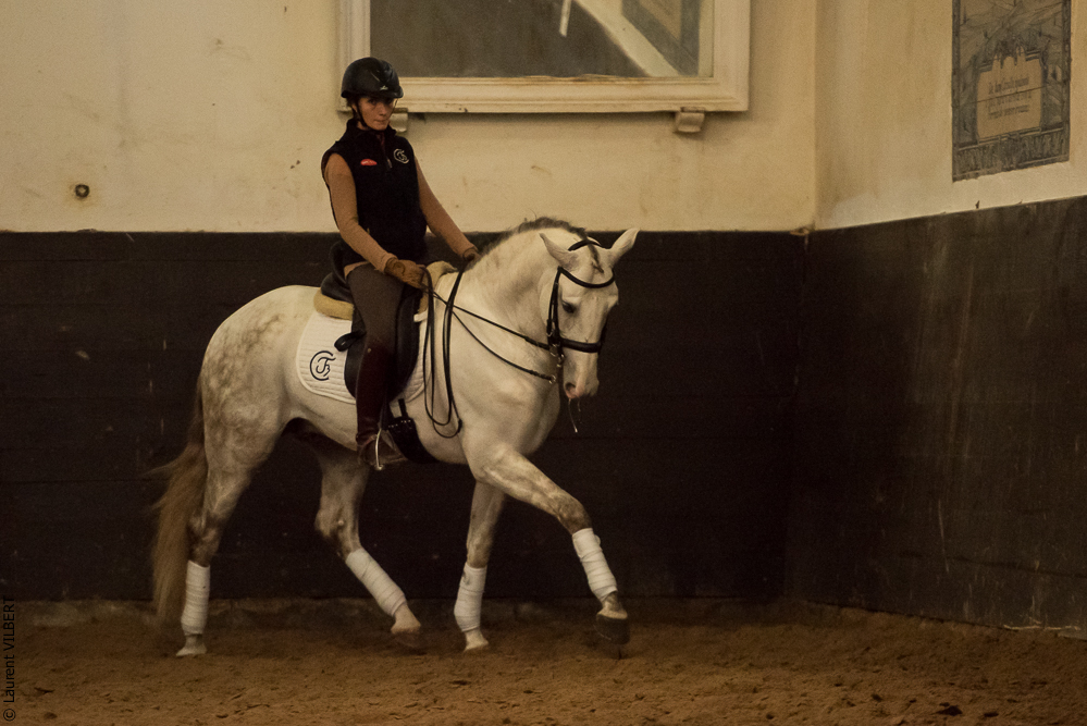 Francisco 20181116-092