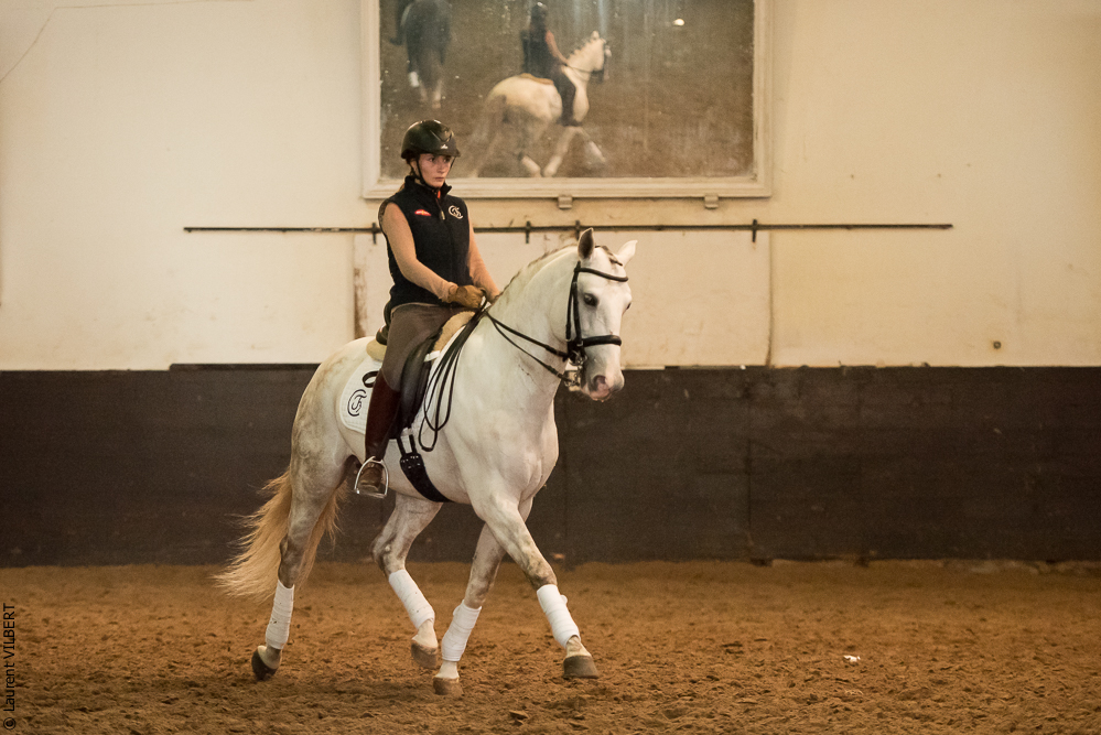 Francisco 20181116-097