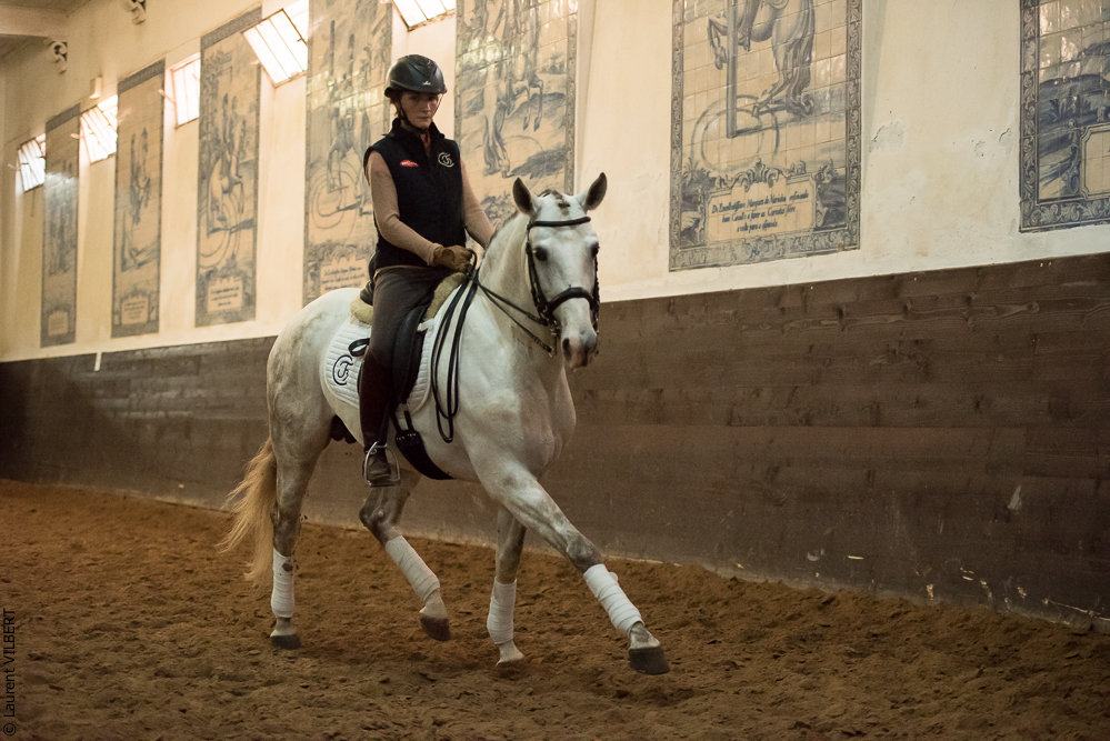 Francisco 20181116-100