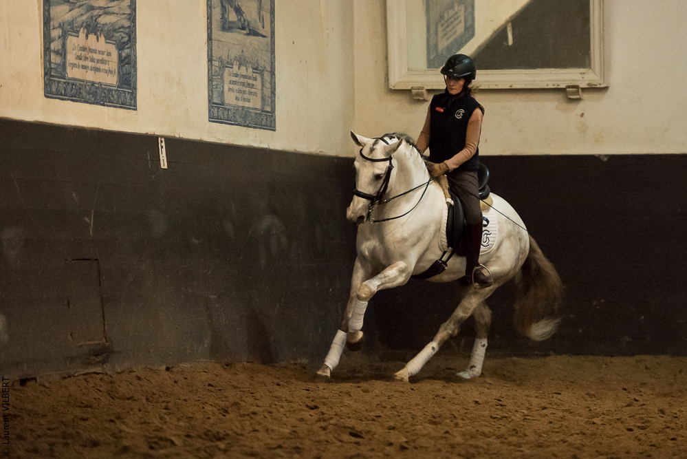 Francisco 20181116-105