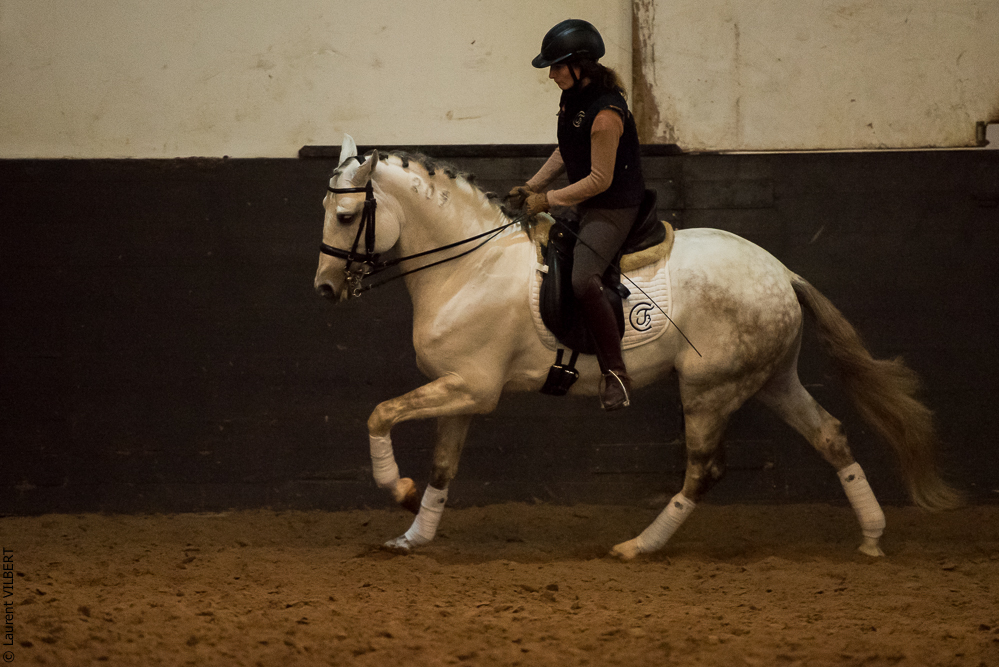 Francisco 20181116-110