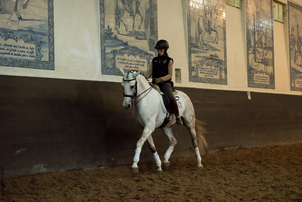 Francisco 20181116-114