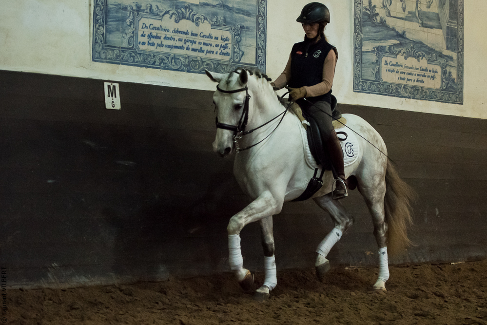 Francisco 20181116-115