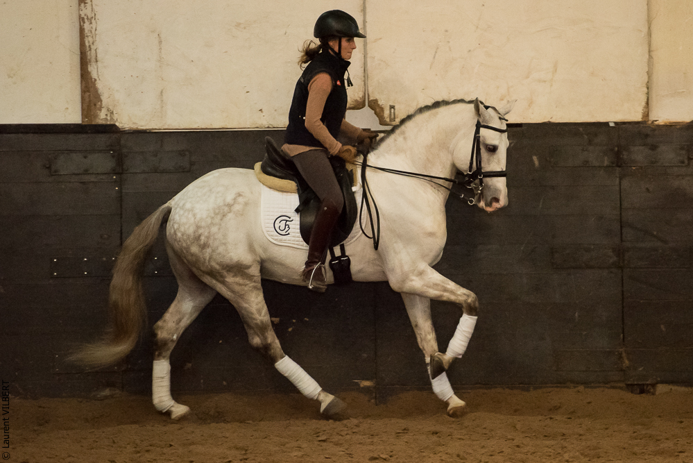 Francisco 20181116-119