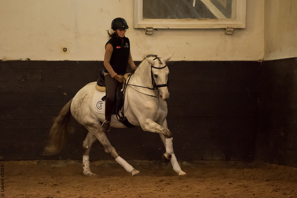 Francisco 20181116-121