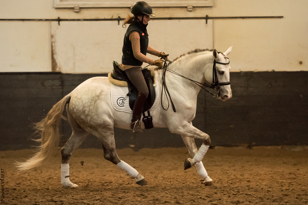 Francisco 20181116-124