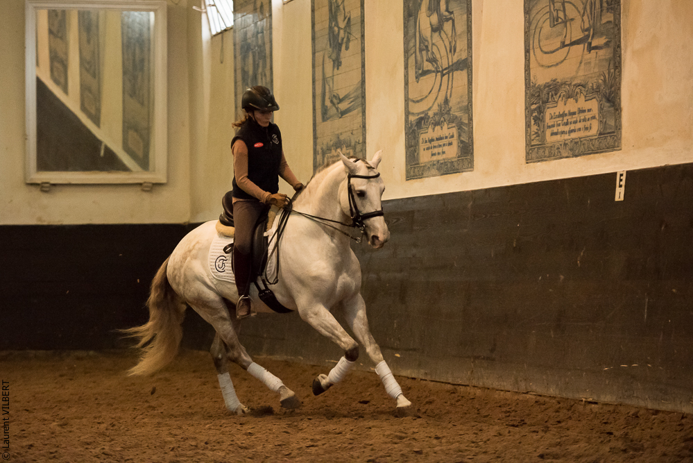 Francisco 20181116-126