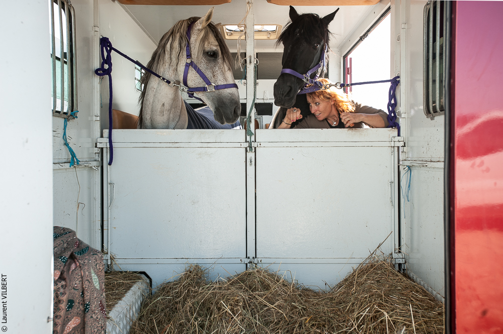 Cheval Bavard 20121006-0099