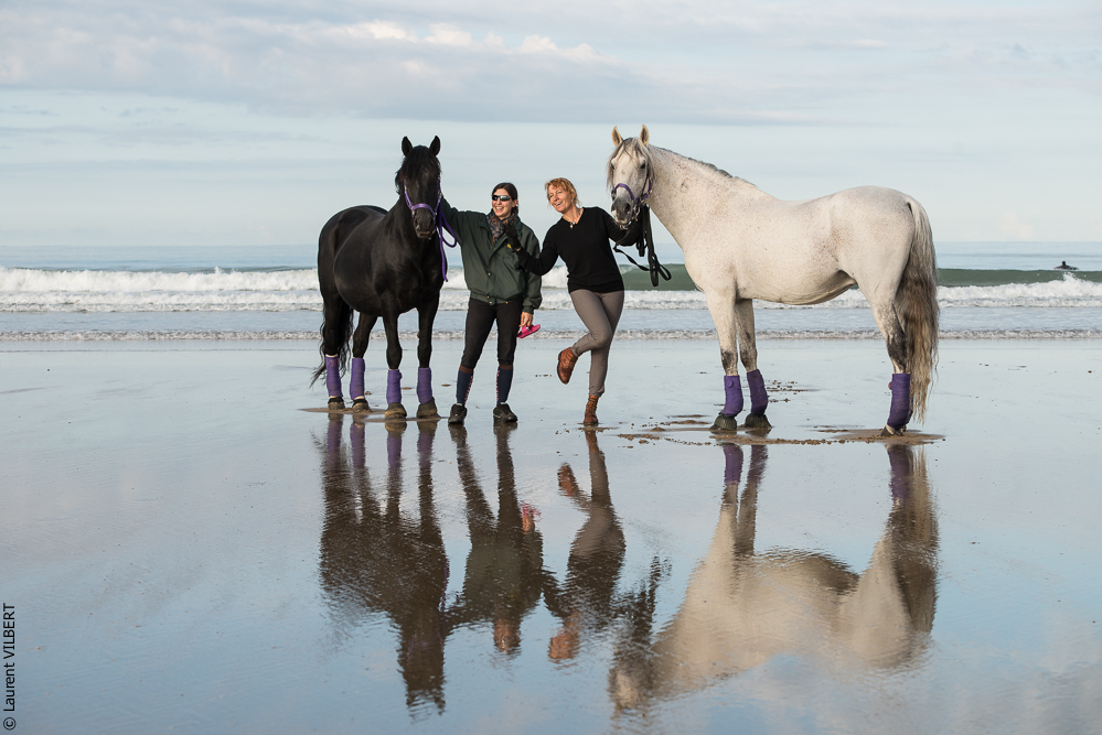 Cheval Bavard 20131006-0204