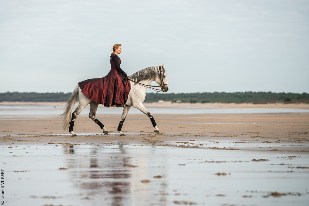 Cheval Bavard 20131006-0270