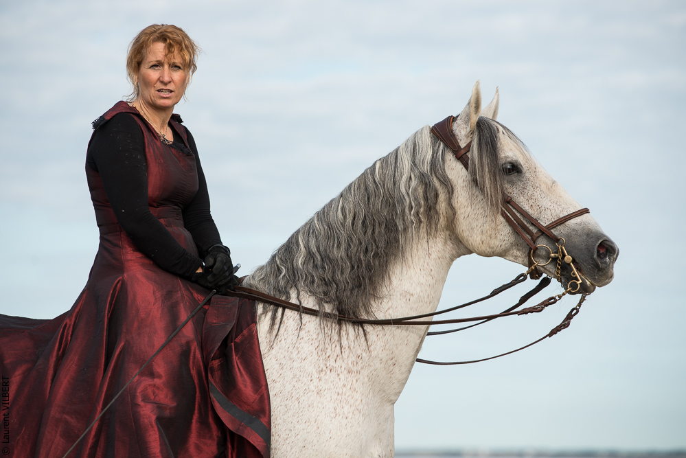 Cheval Bavard 20131006-0278