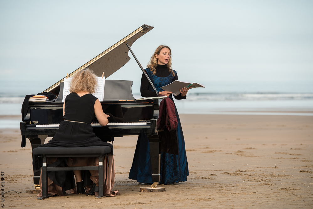 Cheval Bavard 20131006-0302